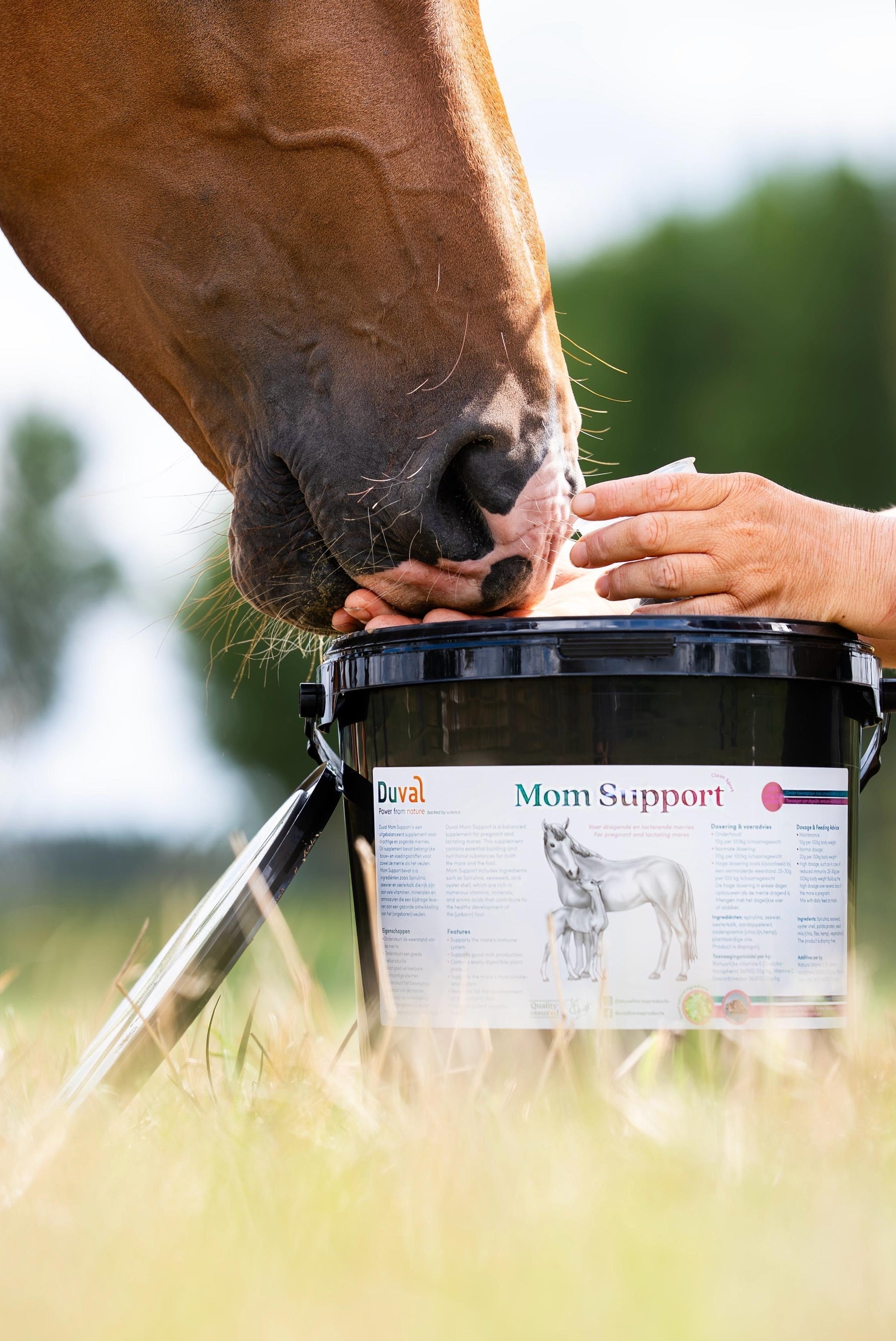 merriesupplement