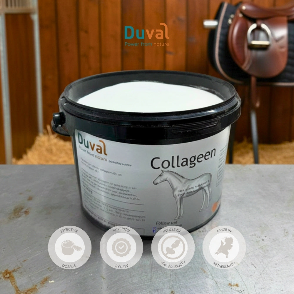 Collagen