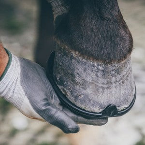 Öllöv® Rubber hoof shoe