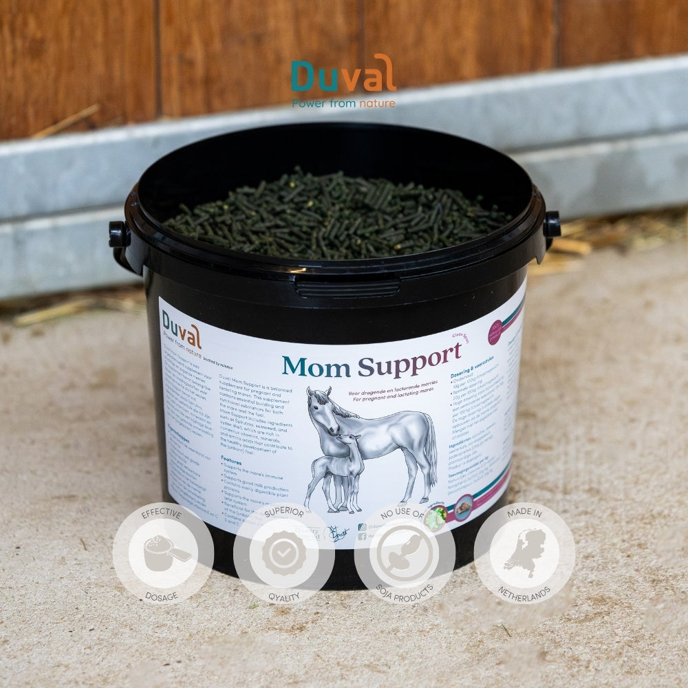 Mom Support