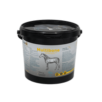 Multibone