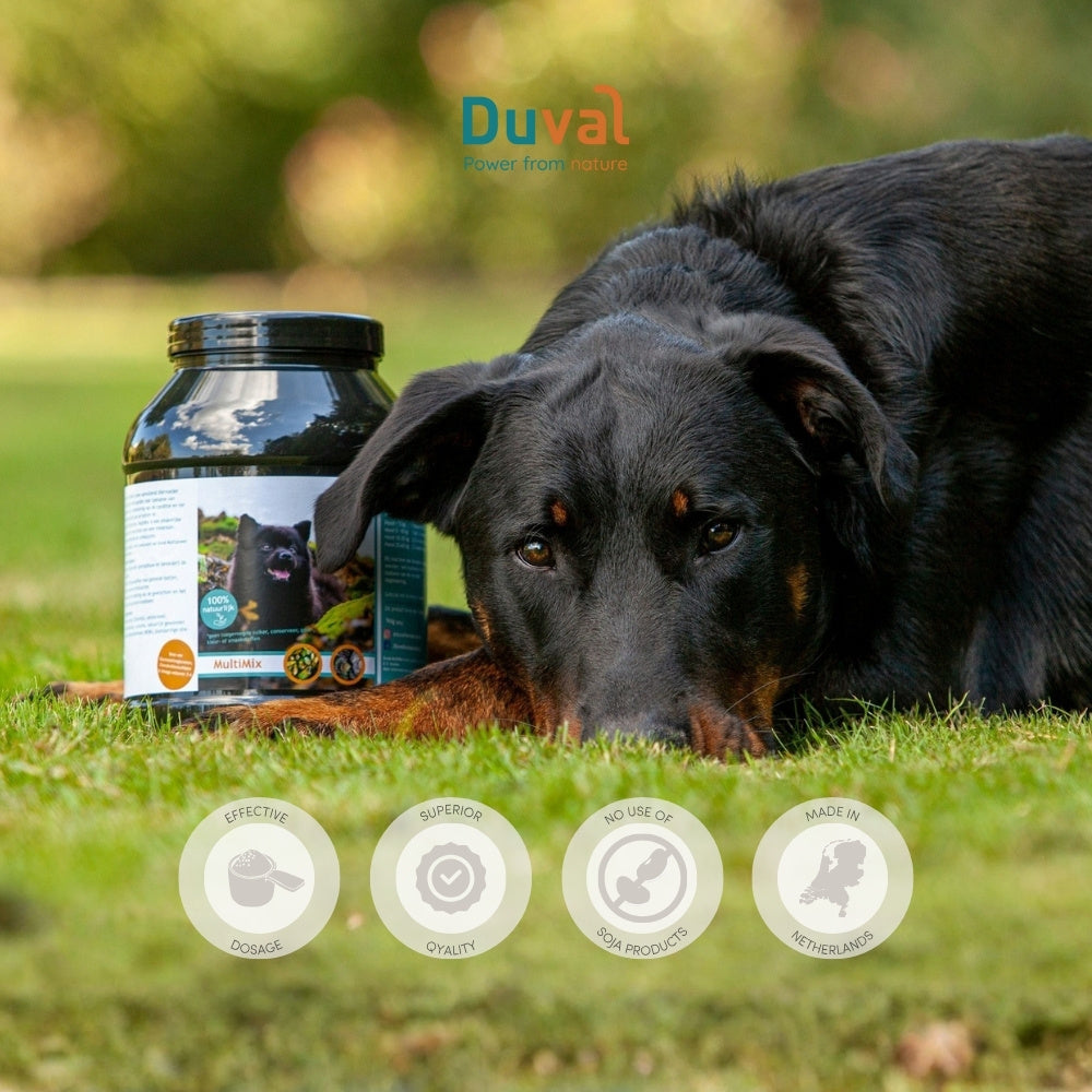 MultiMix Hond