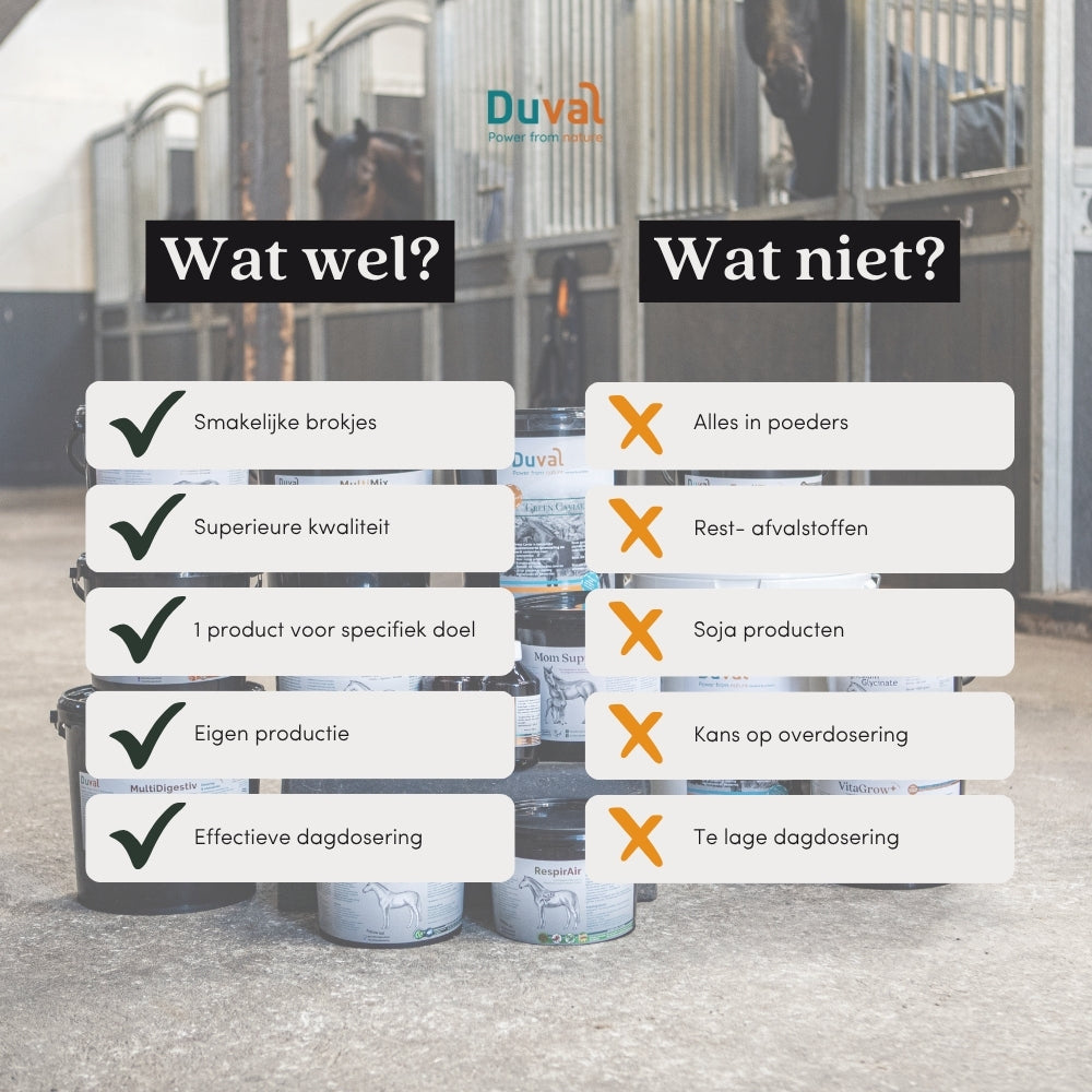 Duval wat wel / wat niet overzicht – vergelijking van zuivere ingrediënten en kwaliteit van Duval paarden­supplementen met ongewenste toevoegingen zoals poeders, reststoffen en soja.