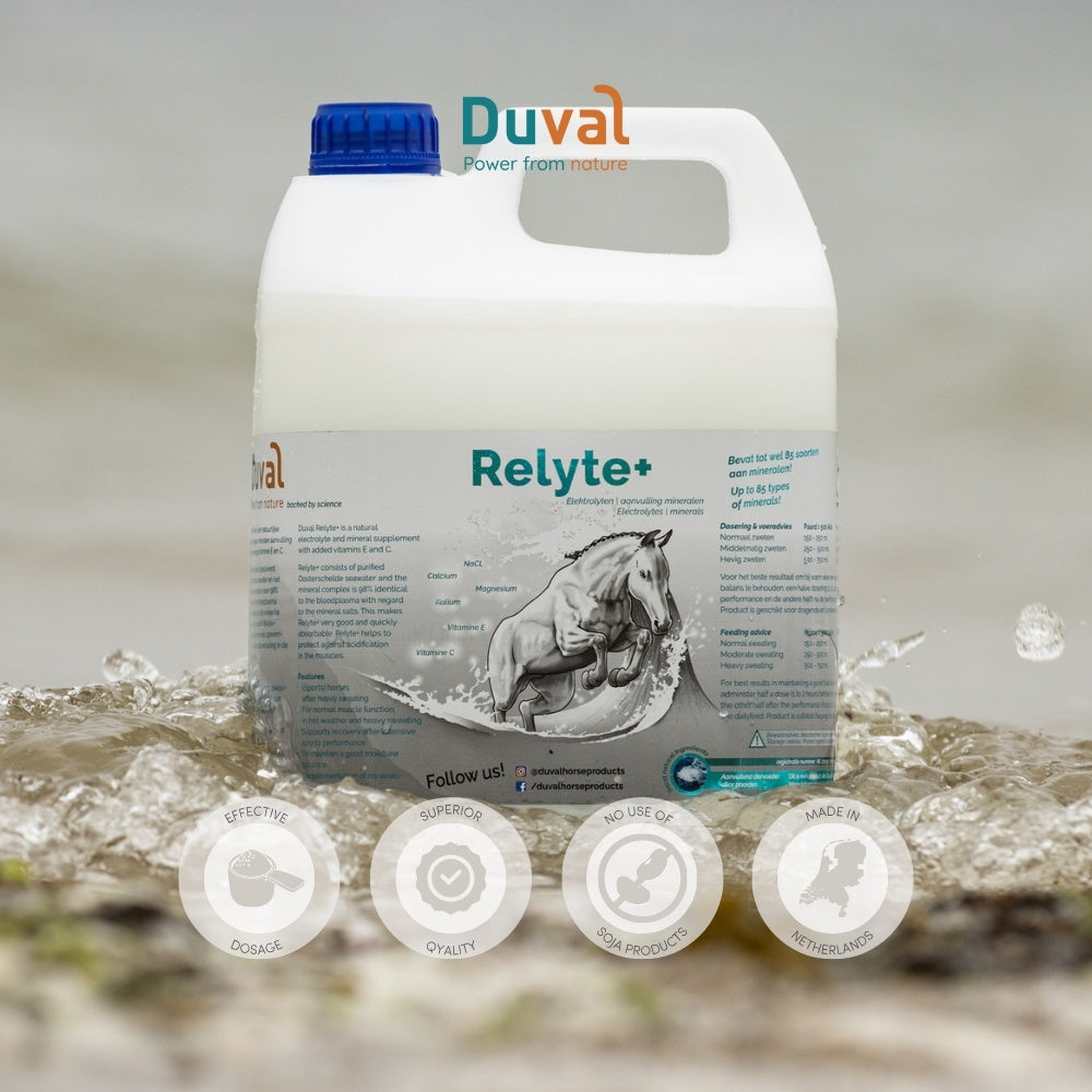 Relyte+