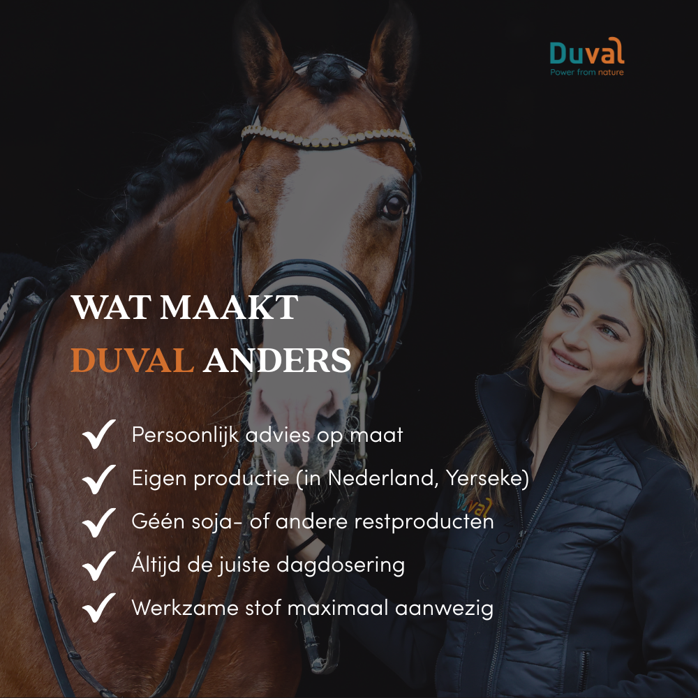 Öllöv® Rubber hoof shoe
